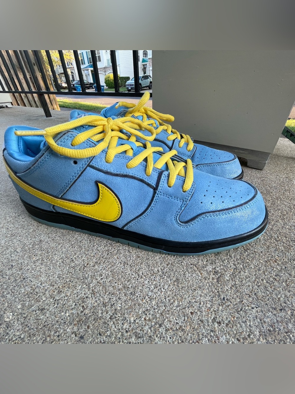Men’s Size 14 - Powerpuff Girls x Nike Dunk Pro SB QS Low Bubbles (Preowned)